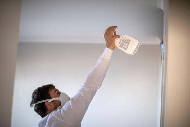 Best Mold Testing  in South Bend, WA