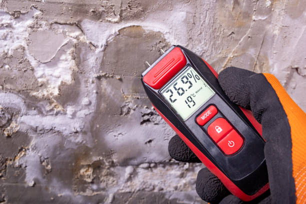 Best Residential Mold Removal  in South Bend, WA