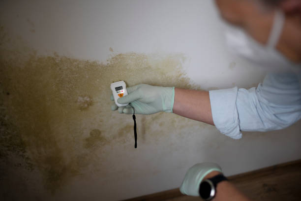 Best Water Damage Restoration  in South Bend, WA