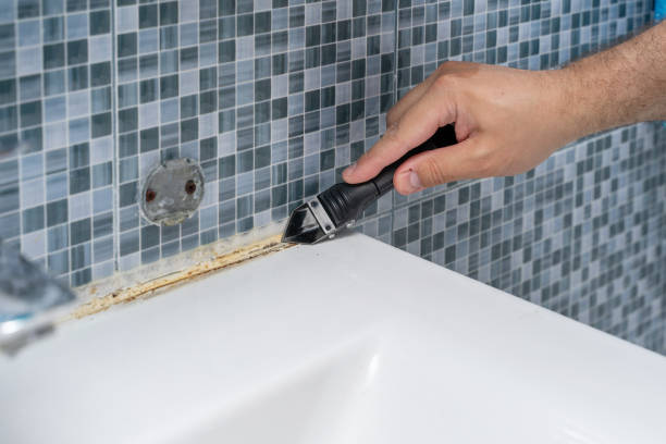 Best Mold Cleaning Services  in South Bend, WA